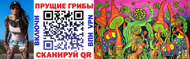 Галлюциногенные грибы ЛСД  купить закладку  Покров 